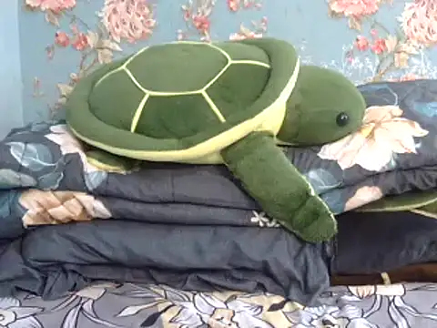 Snapshot of Tiny_lusty chatting on March 11, 6:41 pm Tiny lusty online show from March 11, 6:41 pm