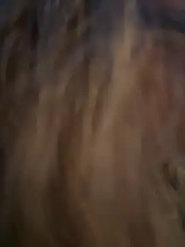 Snapshot of Lombada chatting on November 13, 4:17 pm Lombada online show from November 13, 4:17 pm