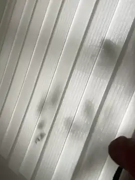 Snapshot of derFickerali chatting on January 23, 1:13 pm derFickerali online show from January 23, 1:13 pm