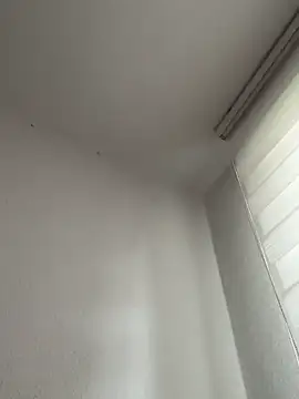 derFickerali online show from October 20, 9:21 am