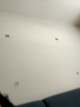 calibabi online show from November 19, 6:30 pm