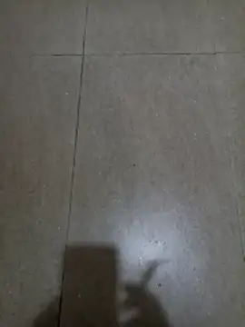 wildfox566 online show from January 18, 3:10 am