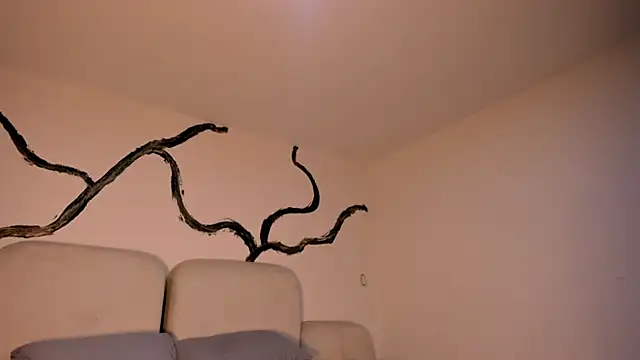 EthanTravis  online show from February 11, 7:33 am