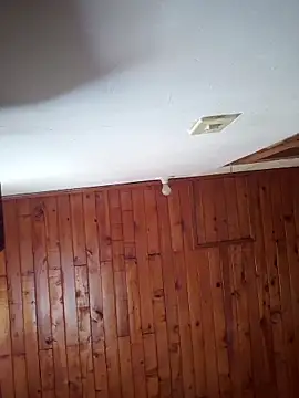      sams online show from November 20, 8:41 pm