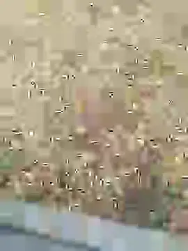 Snapshot of Mrveda66 chatting on February 10, 11:03 am Mrveda66 online show from February 10, 11:03 am