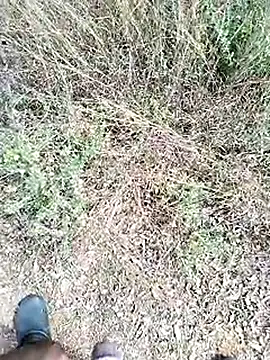 Snapshot of Mrveda66 chatting on February 23, 6:11 am Mrveda66 online show from February 23, 6:11 am