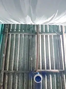 hotbaby 5 online show from October 28, 2:53 pm