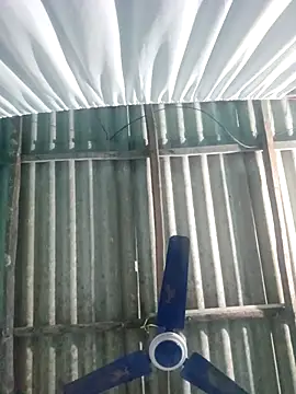 hotbaby 5 online show from November 20, 2:50 pm