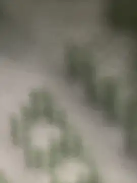 Snapshot of Estefanii- chatting on December 16, 1:32 pm Estefanii- online show from December 16, 1:32 pm