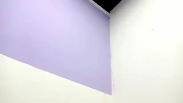 PetiteIvoryQueen19 online show from February 13, 1:01 am