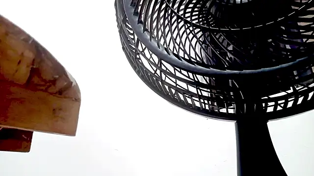 PetiteIvoryQueen19 online show from February 14, 1:35 am