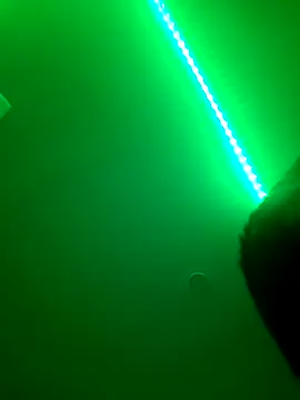 hot dick 6 9 online show from January 29, 2:09 am