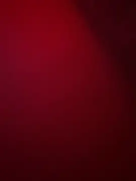 its bellZ05 online show from June 21, 8:44 pm