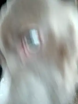 hoesinthishouse78 online show from November 22, 8:52 pm