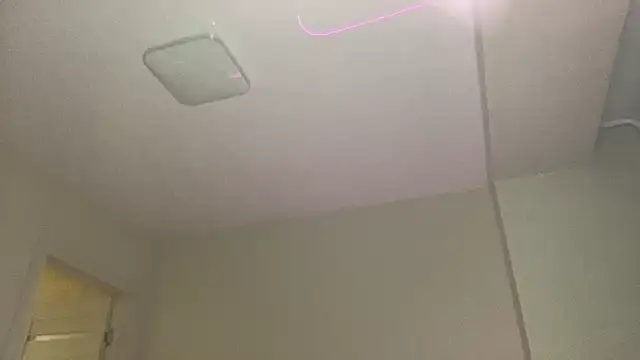 liins wet online show from December 13, 7:10 pm