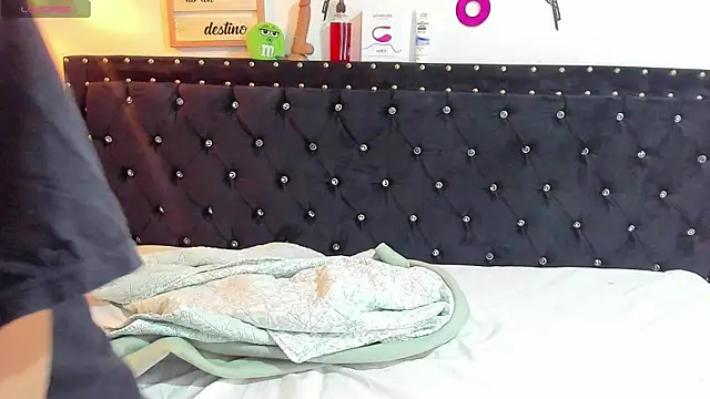 meow mota online show from December 13, 8:04 pm
