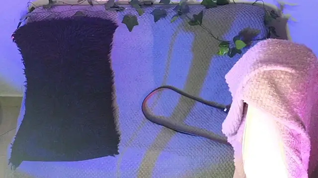 Alahia7demon online show from February 9, 2:04 am