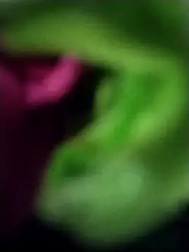 Snapshot of heartless__95 chatting on March 23, 6:47 am heartless 95 online show from March 23, 6:47 am