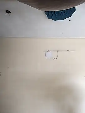 Snapshot of heartless__95 chatting on October 20, 3:29 am heartless 95 online show from October 20, 3:29 am