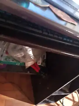 lobomisterioso13 online show from April 8, 2:17 pm