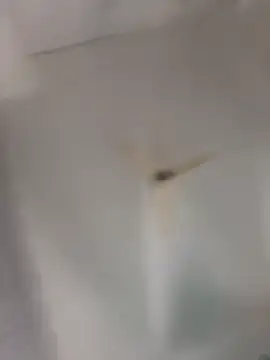 playboy 30 online show from November 16, 9:04 am