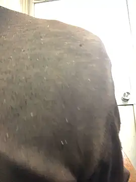 agaupt2 online show from December 16, 10:48 pm