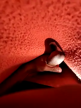 Ssdhaka11 online show from December 25, 7:13 pm