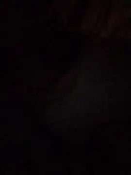 Snapshot of Work4Crypto chatting on March 21, 4:28 am Work4Crypto online show from March 21, 4:28 am