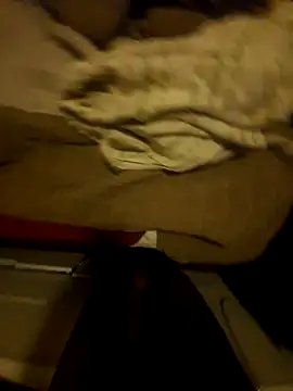 the666D online show from March 29, 3:06 am