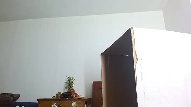 Party trans online show from December 14, 10:39 pm