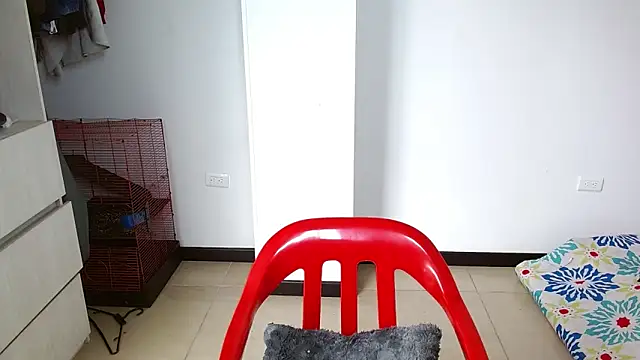 Party trans online show from December 28, 5:03 pm