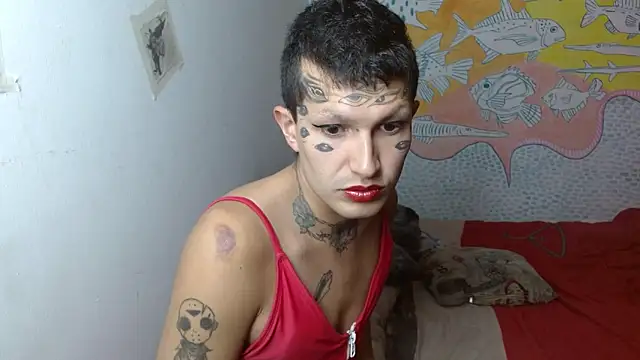 Party trans online show from February 10, 6:35 pm