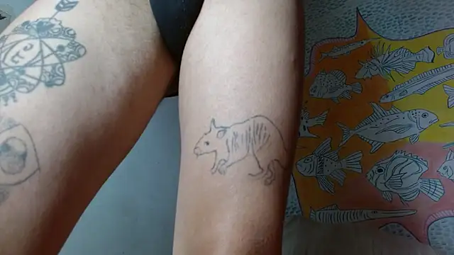 Party trans online show from February 11, 10:28 pm