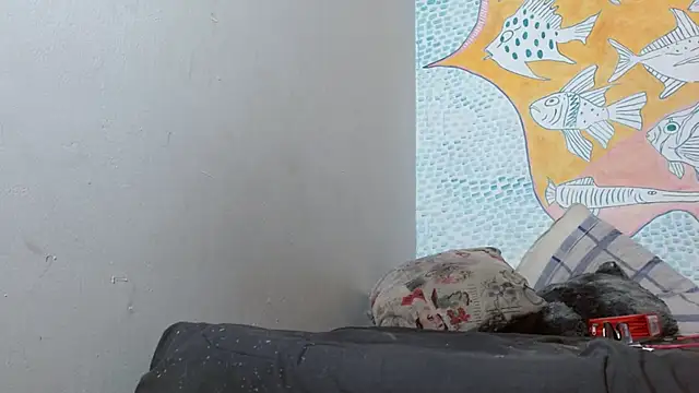 Party trans online show from February 14, 3:22 am