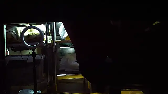 Snapshot of qoooqing67 chatting on December 15, 6:18 am qoooqing67 online show from December 15, 6:18 am