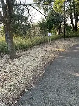 Hideen-real-face online show from February 18, 6:53 am