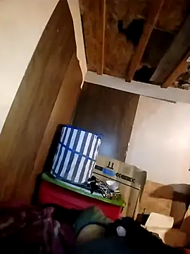 beliqi online show from November 15, 5:49 am