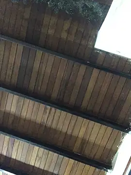 isacalejandroo online show from January 25, 4:02 am