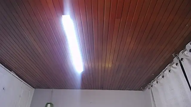 Scarllett BDSM online show from November 29, 5:10 am