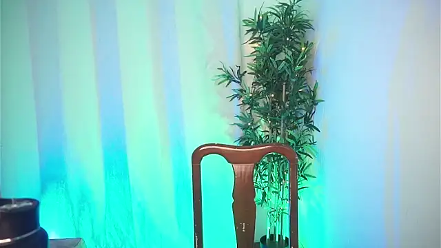 dam0n fr0st online show from February 4, 8:47 pm