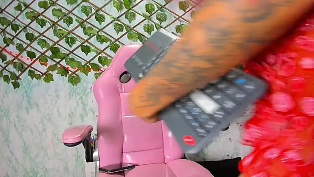 Pamesmith online show from November 20, 2:34 am