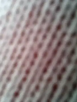 Snapshot of Gardener_of_Illusions chatting on October 31, 10:27 am Gardener of Illusions online show from October 31, 10:27 am