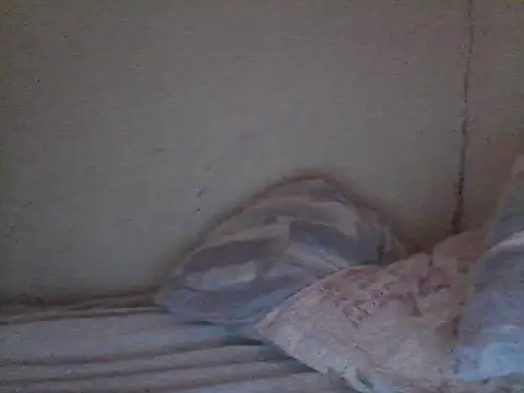 pornstarbrezillian online show from November 13, 12:48 pm