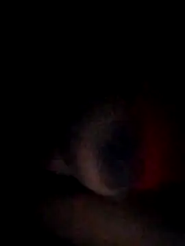 pornstarbrezillian online show from November 15, 4:54 am