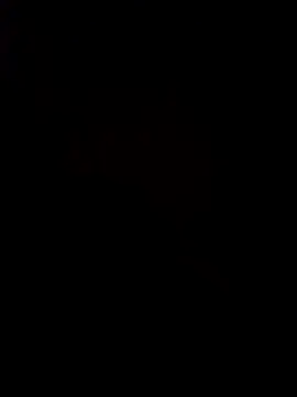 pornstarbrezillian online show from November 24, 8:25 am