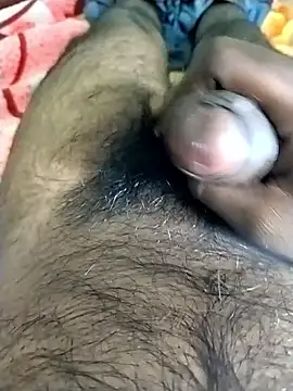 jellydicks online show from November 9, 11:52 am