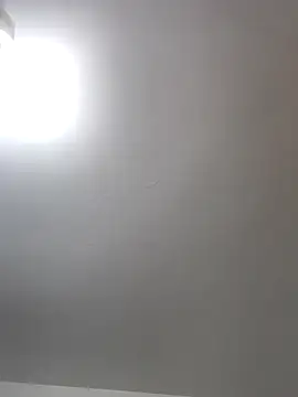 sinsbbi9 online show from October 25, 5:19 pm