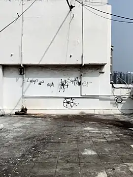 sinsbbi9 online show from November 23, 7:41 am