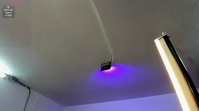 Amy Kiitty  online show from February 4, 12:44 pm