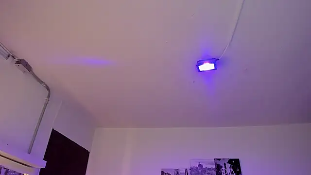 Amy Kiitty  online show from March 27, 1:22 pm